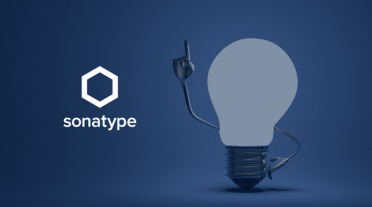 Sonatype Insights (1)