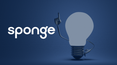 Sponge Insights
