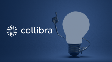 Collibra Insights